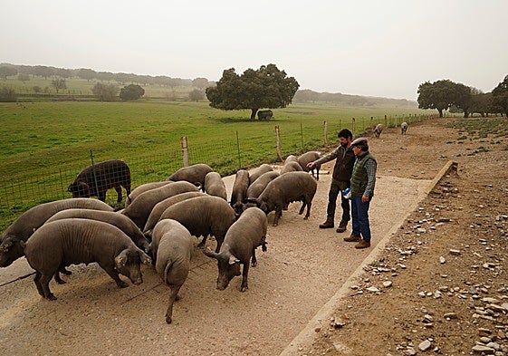 Ramón Guarido, actual presidente, y Juan Luis Martín Sevillano, su predecesor.