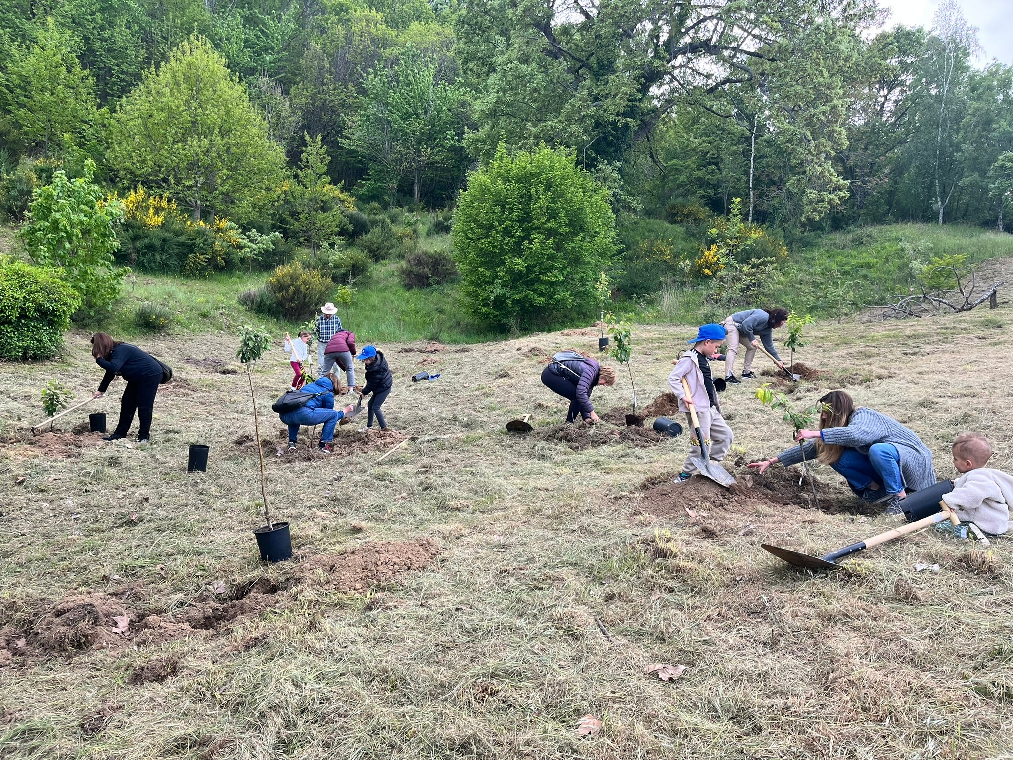 El programa Arbolar reforesta el paraje de El Regajo en Béjar