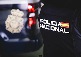 Imagen de espaldas de un agente de la Policía Nacional.