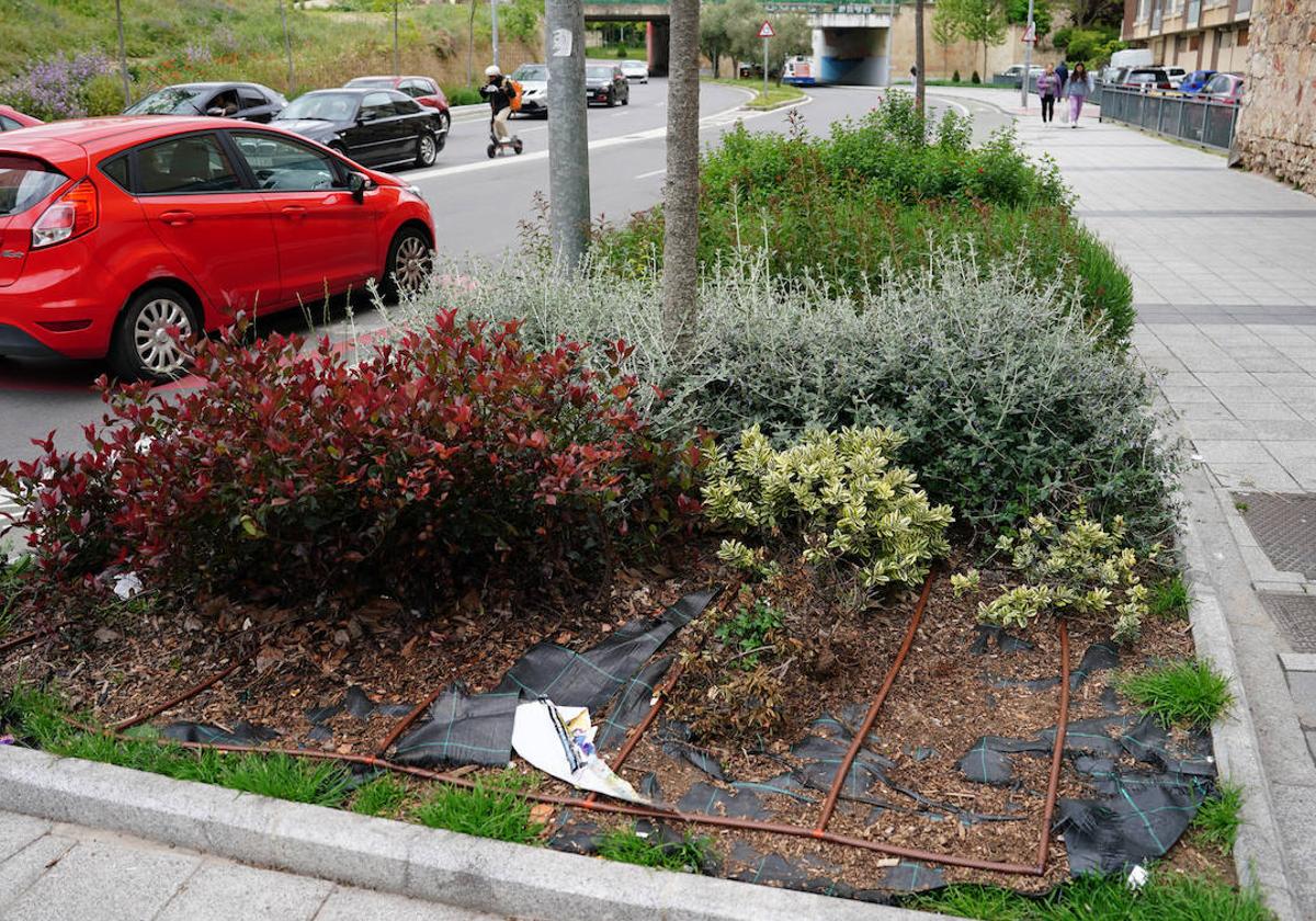 Jardín o depósito de tuberías