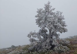 Imagen de un paisaje de la localidad.