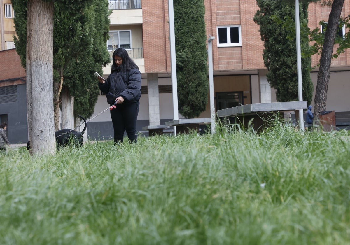 «Le quité una garrapata a mi hija de la cabeza. Es muy angustioso»