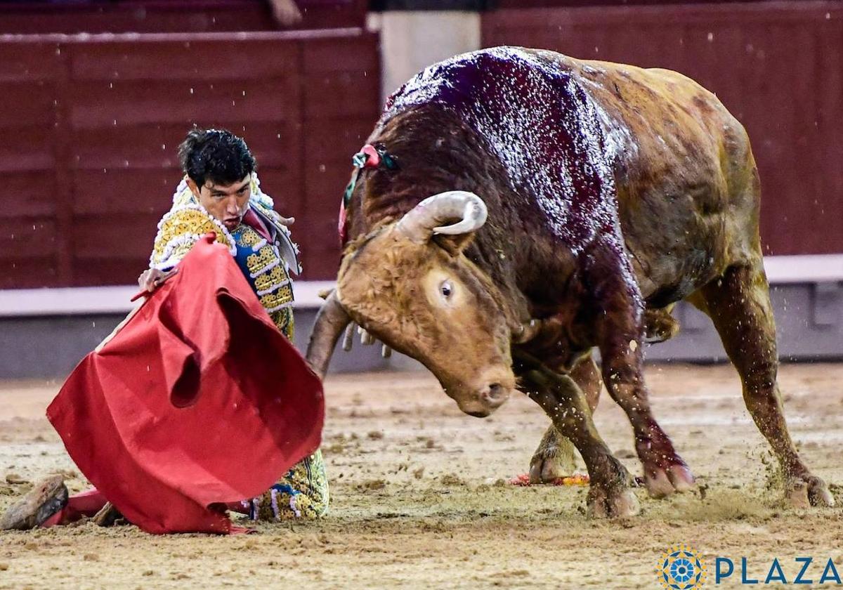 Brigadier corona a Pedraza en Las Ventas