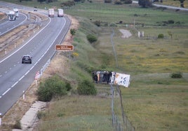 El camión volcado en la A-66, entre Montejo y Pizarral.