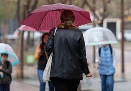 Una mujer se protege con un paraguas de la lluvia.