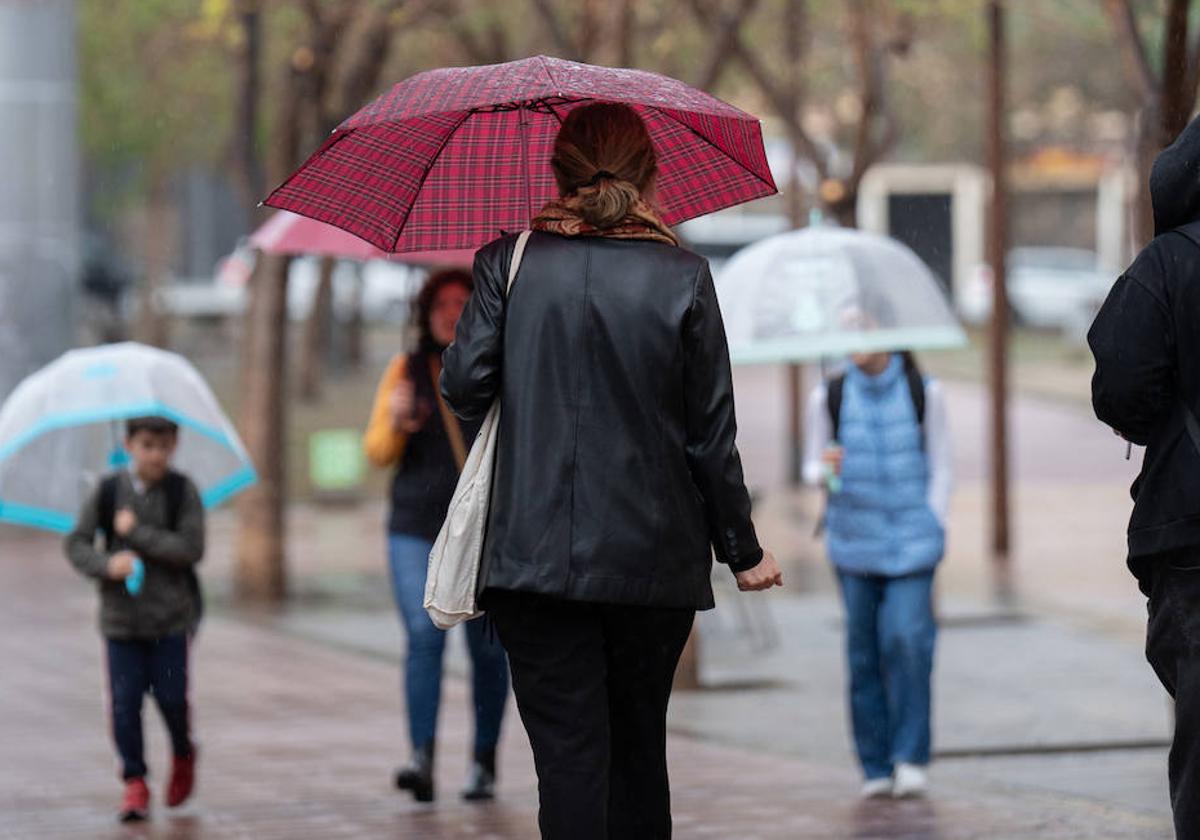 Una mujer se protege con un paraguas de la lluvia.