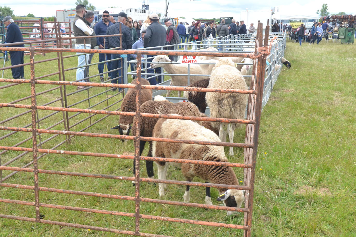Lumbrales revive el esplendor de San Isidro