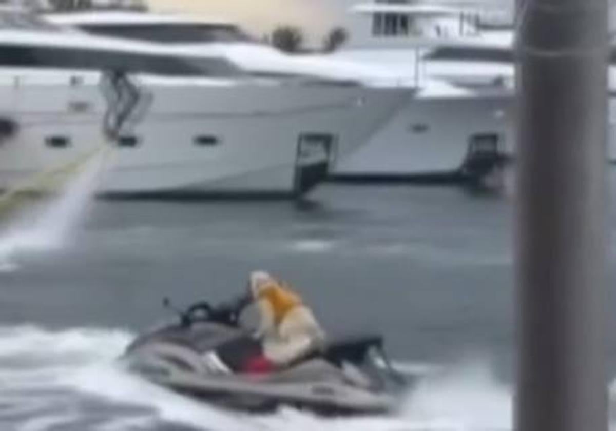 Las redes enloquecen con el perro que conduce una moto de agua: ¿realidad o truco?