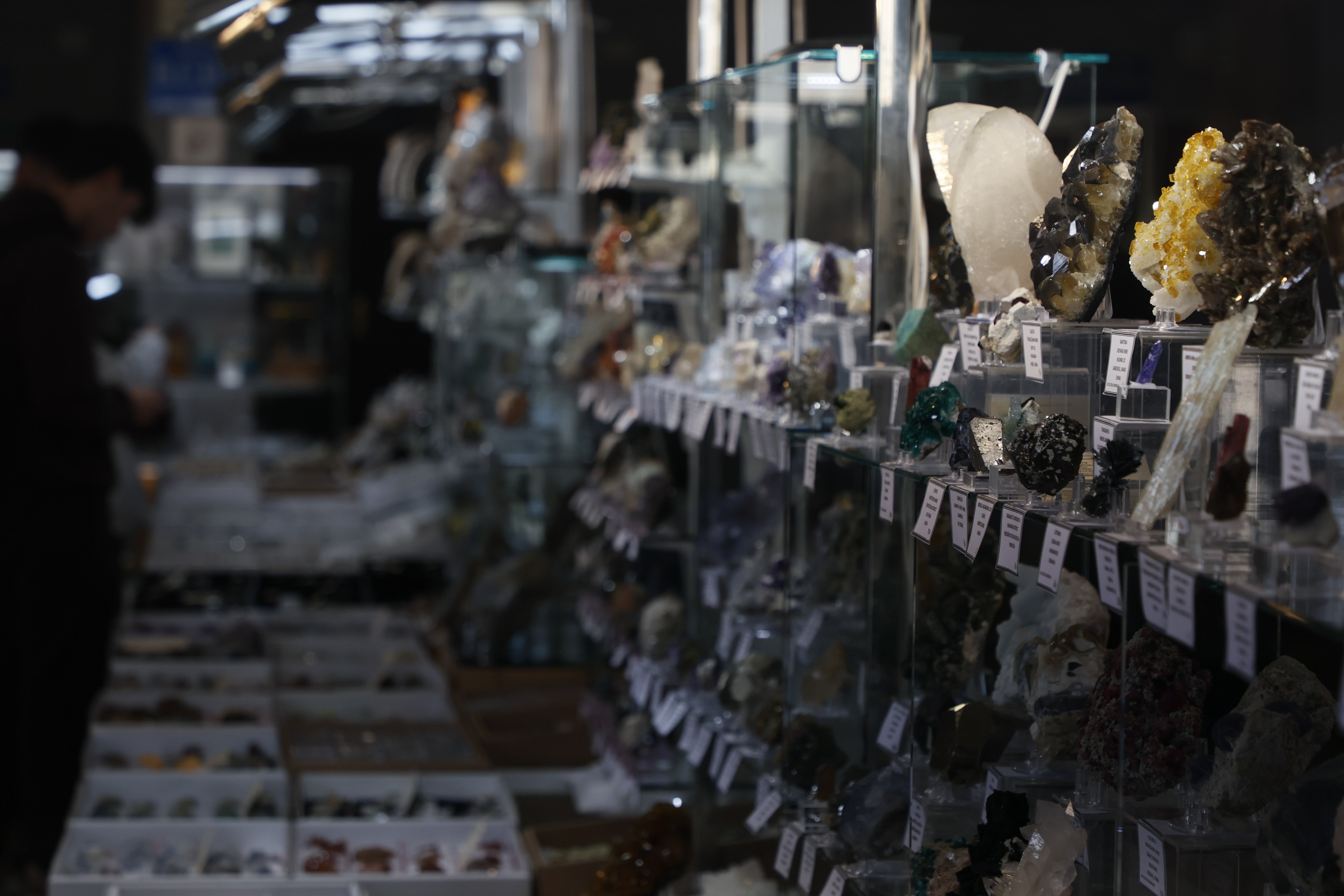 Feria de los Minerales de la USAL: &quot;Ahora miro el mundo con unos ojos muy distintos&quot;