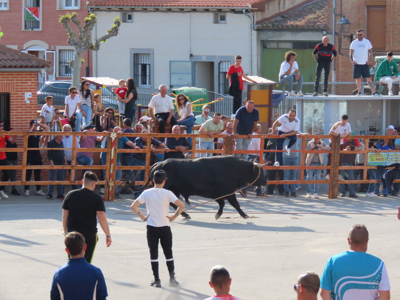 Fiesta de bravura en Cantalpino