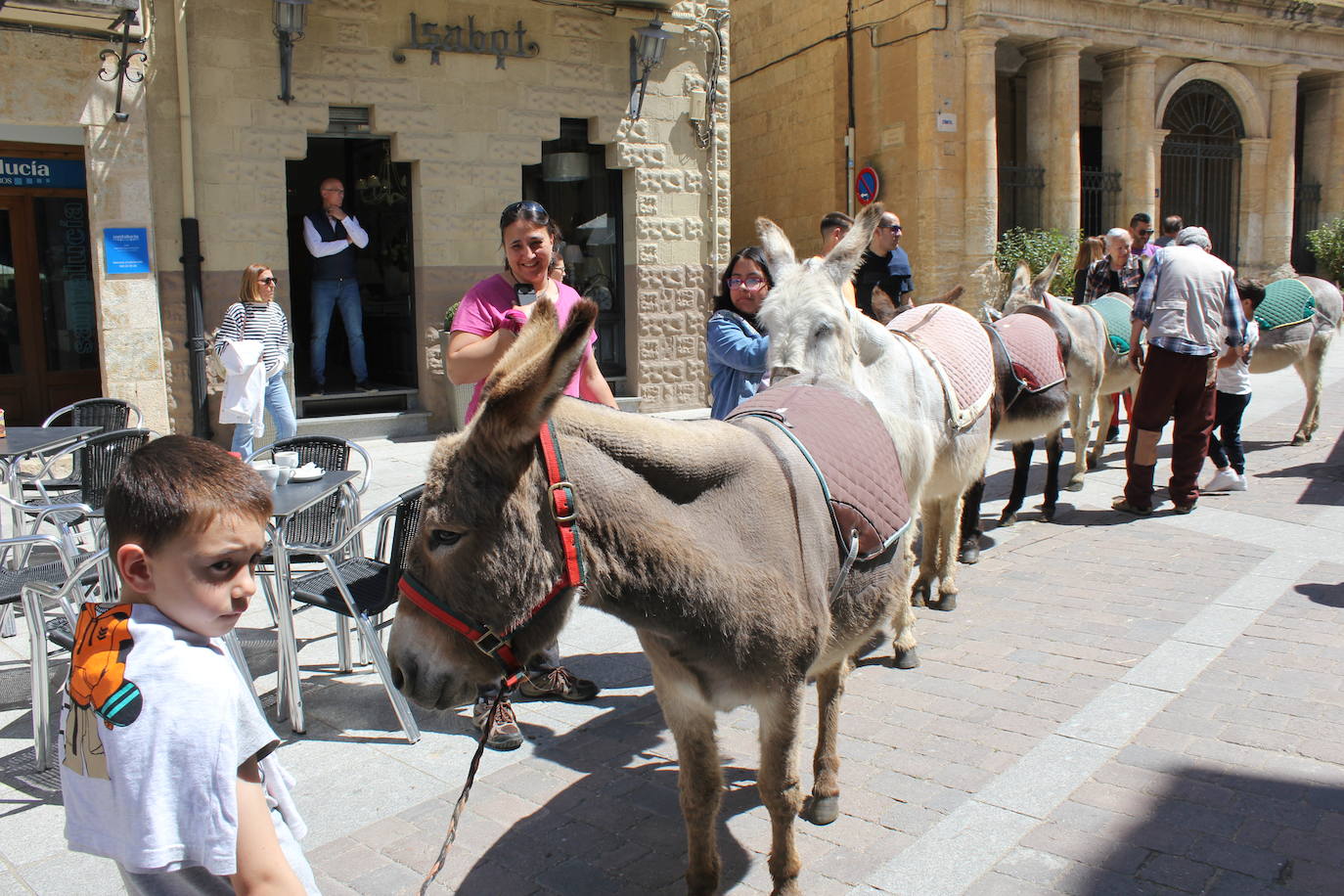 Ciudad Rodrigo se viste de sabor local y ganadería en la IV Feria del Farinato