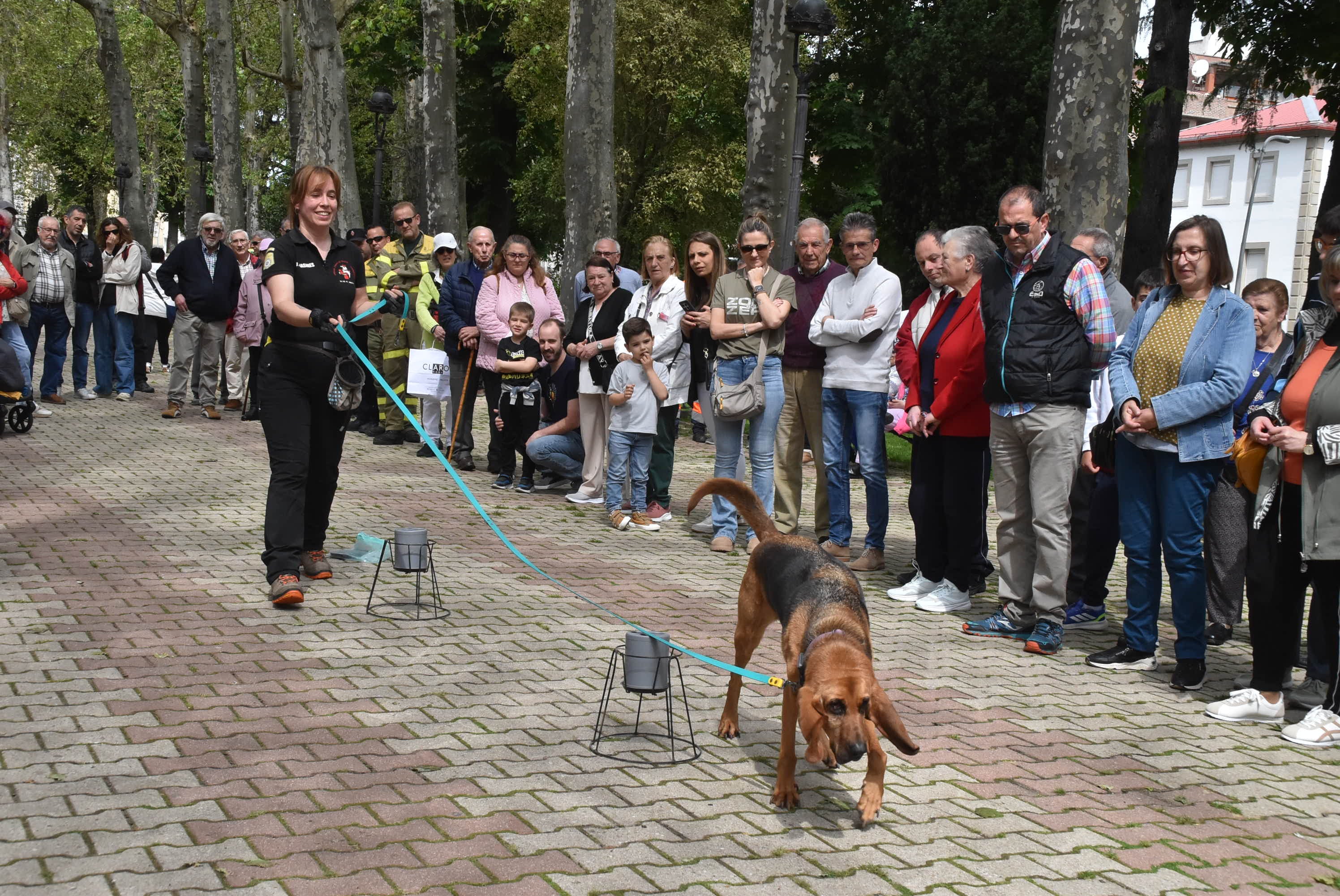 Béjar celebra el 40 aniversario de Protección Civil con una jornada de exhibición y reconocimientos