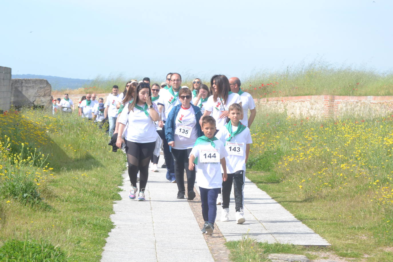 Ciudad Rodrigo marcha por el Parkinson