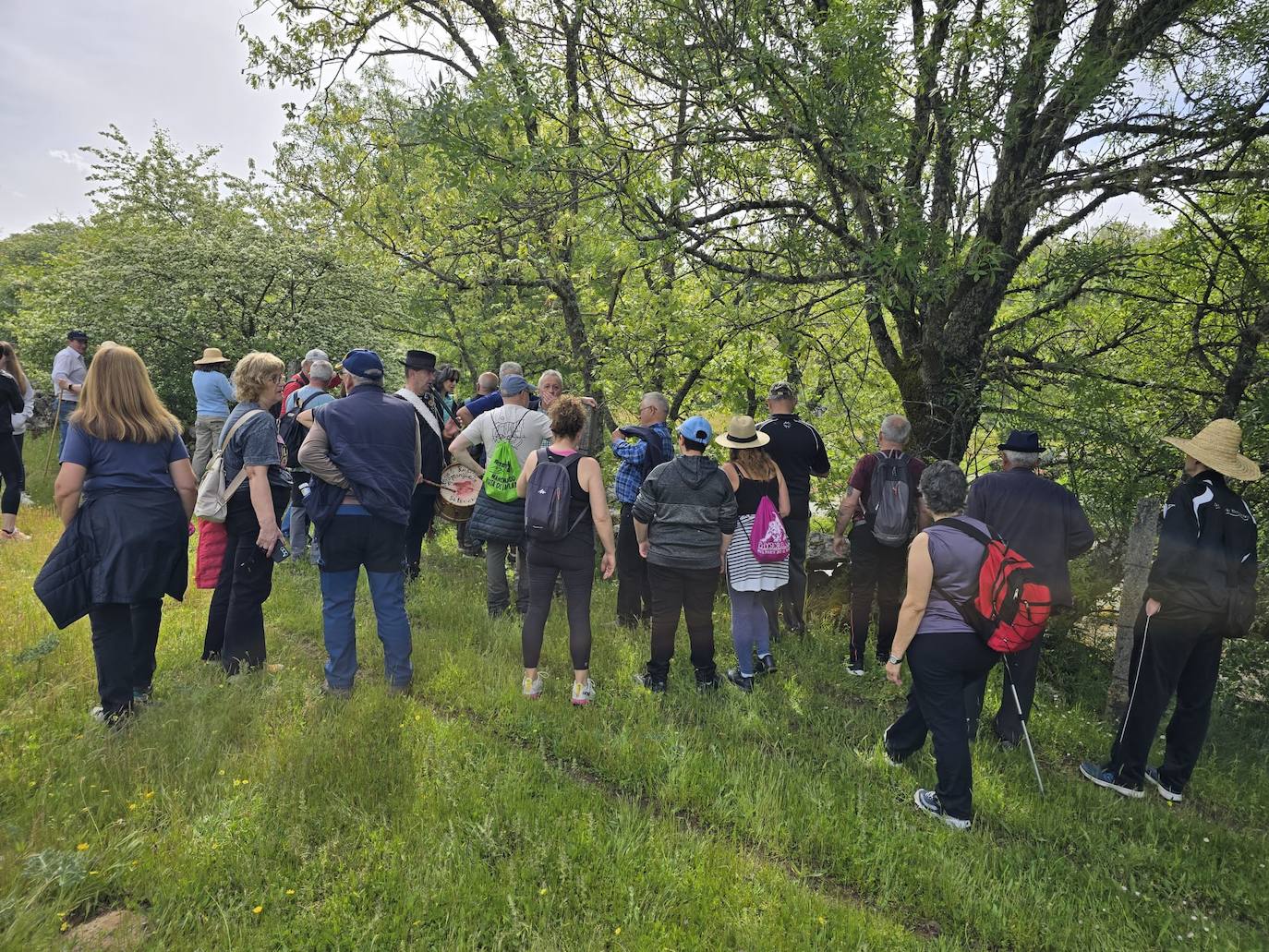 Esplendor en la naturaleza por tierras del Sangusín en Horcajo de Montemayor