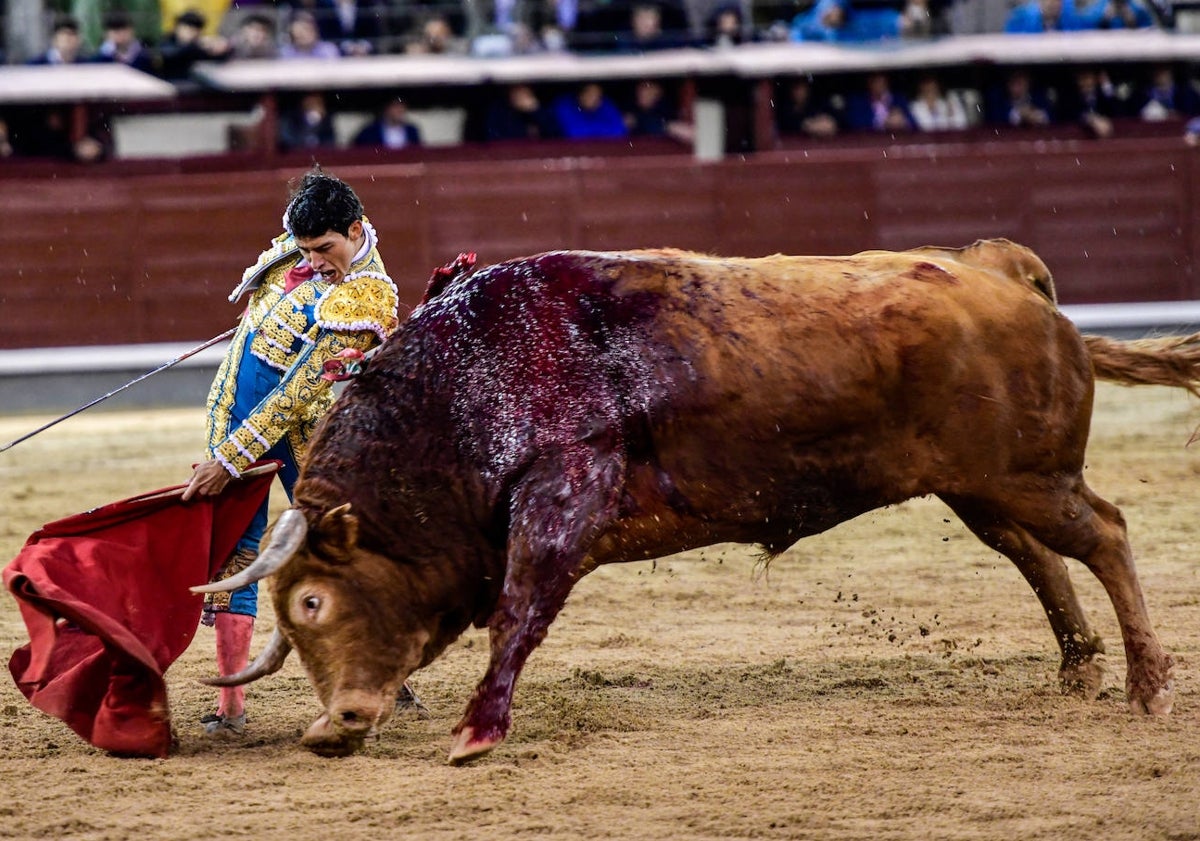 Imagen principal - Brigadier entra en la historia de la plaza de toros de Las Ventas