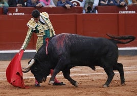 Alejandro Talavante en un derechazo a Querido, el toro de Garcigrande.