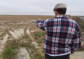 Un agricultor observa una parcela inundada.