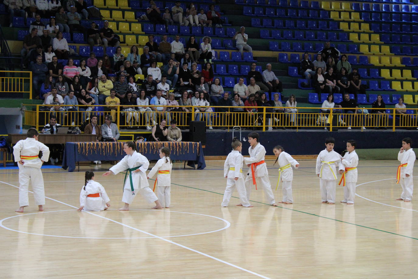 Baile y kárate en el pabellón municipal de Béjar