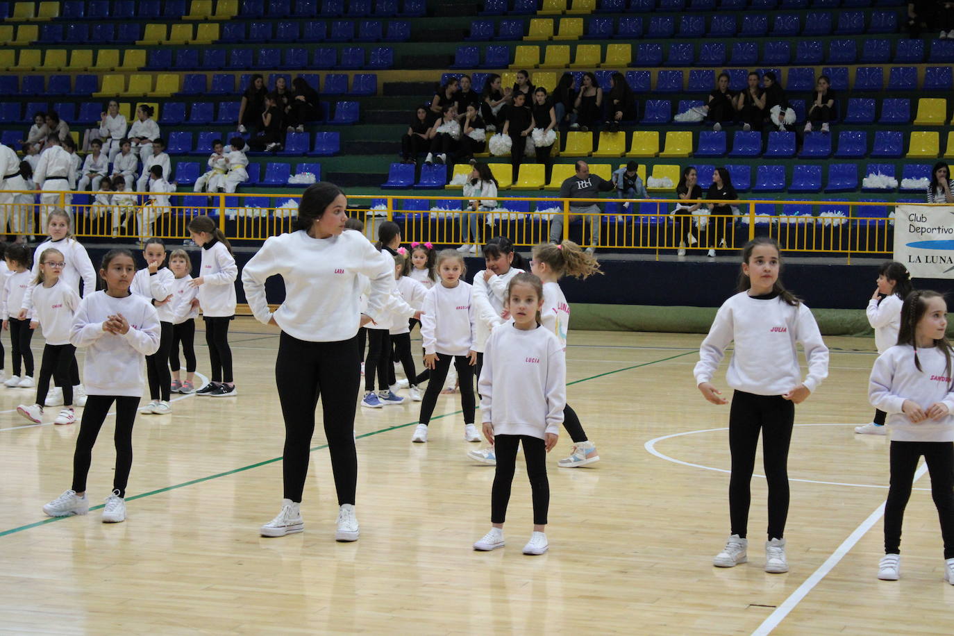 Baile y kárate en el pabellón municipal de Béjar
