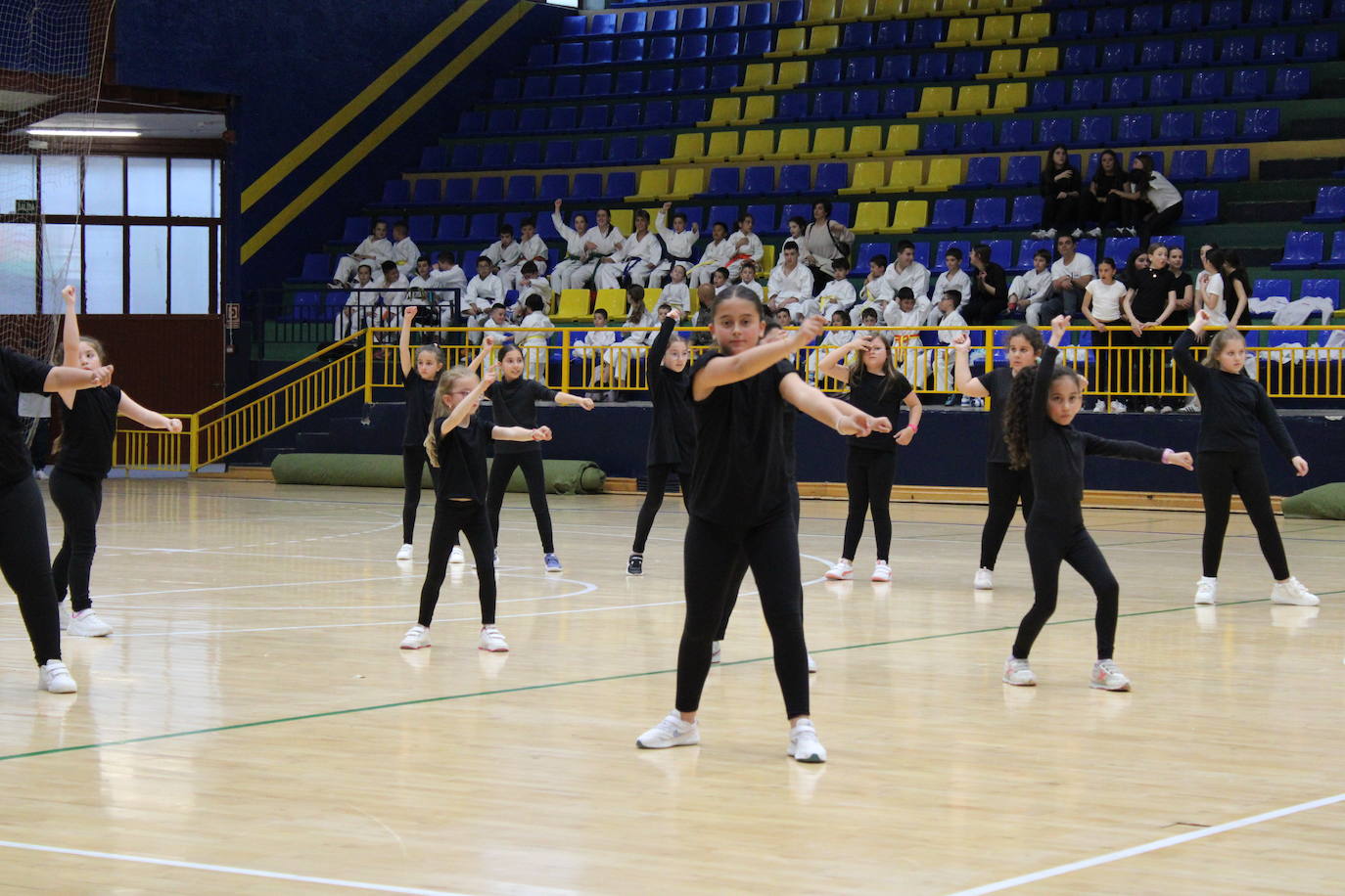 Baile y kárate en el pabellón municipal de Béjar