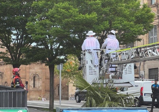 Los Bomberos se movilizan por un enjambre en Salamanca.