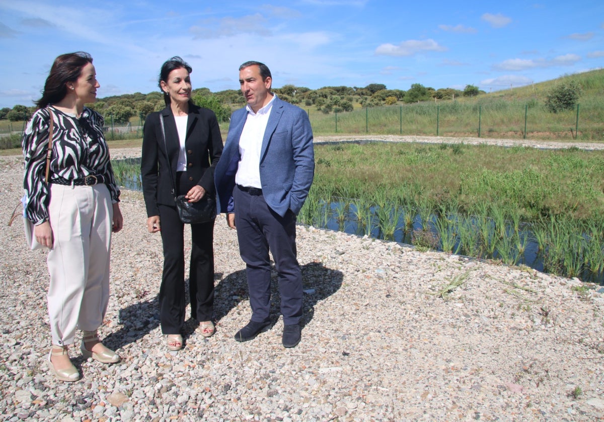 Topas estrena sistema de depuración de aguas residuales con un humedal artificial