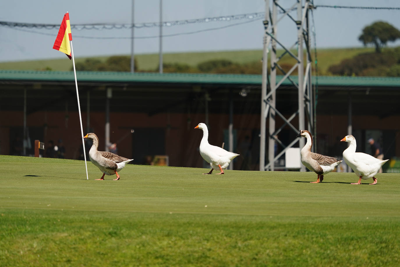 Gran ambiente y diversión en el segundo día del Torneo LA GACETA en La Valmuza