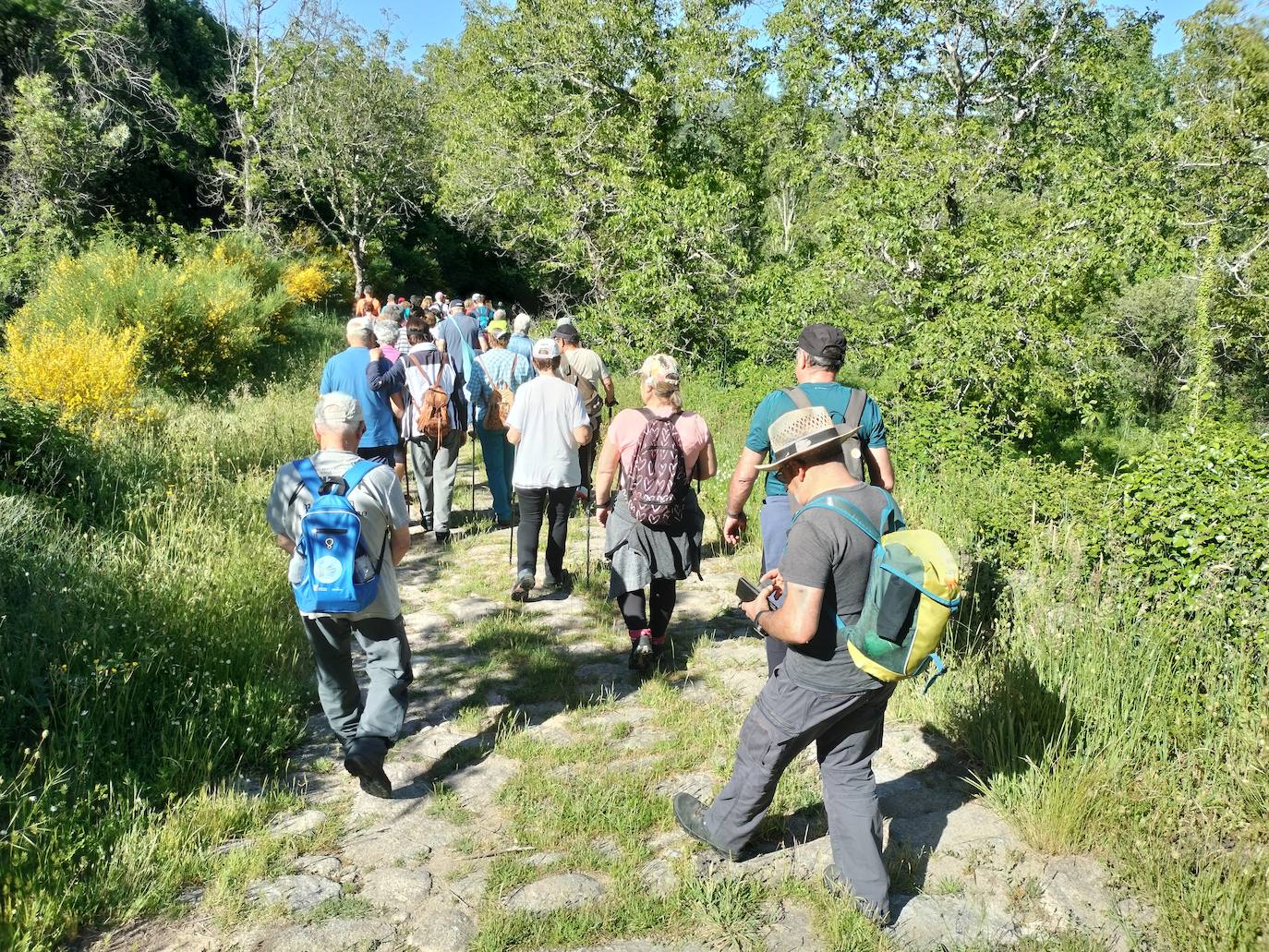 Puerto de Béjar y Navacarros, paradas para disfrutar del Festival de la Candela