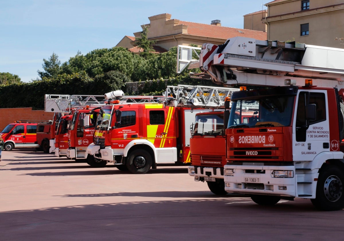 El polen provoca un incendio a mediodía junto al Paseo Fluvial de Salamanca