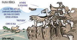 La viñeta de Morán