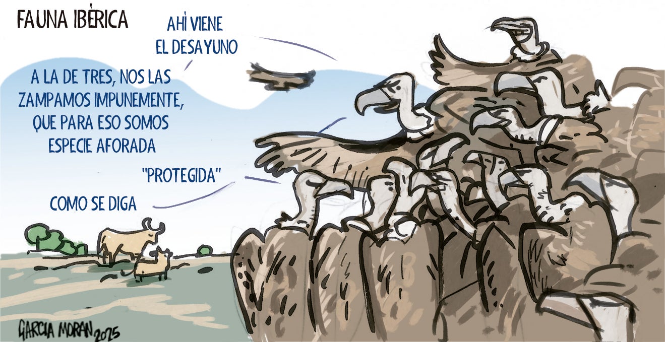 La viñeta de Morán