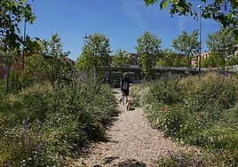 Una mujer pasea a sus perros por uno de los senderos de la 'isla de biodiversidad'.