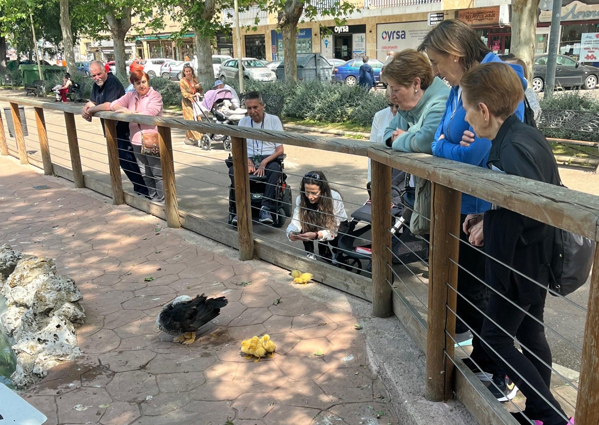 Imagen secundaria 1 - Los nuevos vecinos de La Alamedilla causan sensación: «¡Son adorables!»