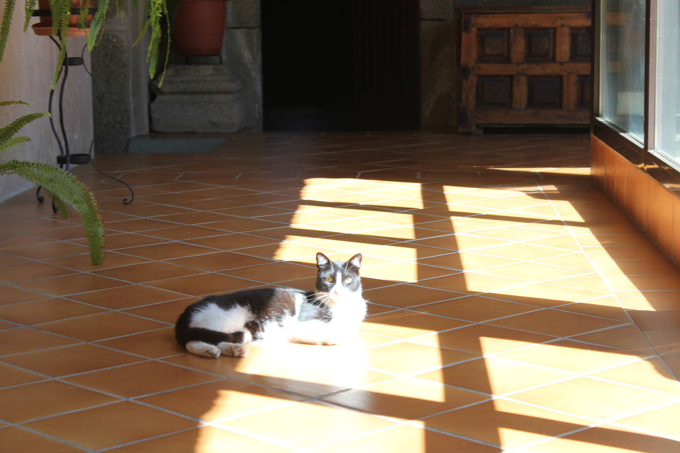 «El Padre Prevost nos abrazó y no imaginamos lo que sucedería después»