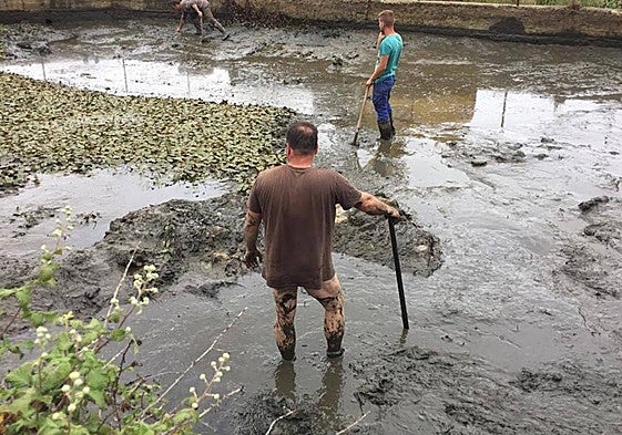 La charca acumulaba una gran cantidad de lodo en su fondo.