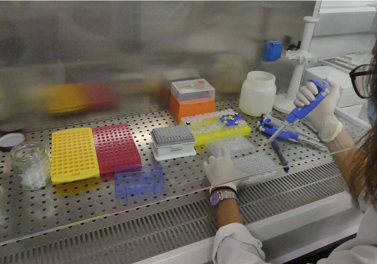 Trabajo de laboratorio para la determinación de enfermedades transmitidas por garrapatas.