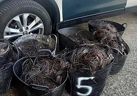 Imagen de varias cestas con cobre sustraído.