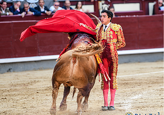 Ajustada manoletina de Marco Pérez en el cierre de faena a Tramposo, el segundo novillo con el hierro de Fuente Ymbro.