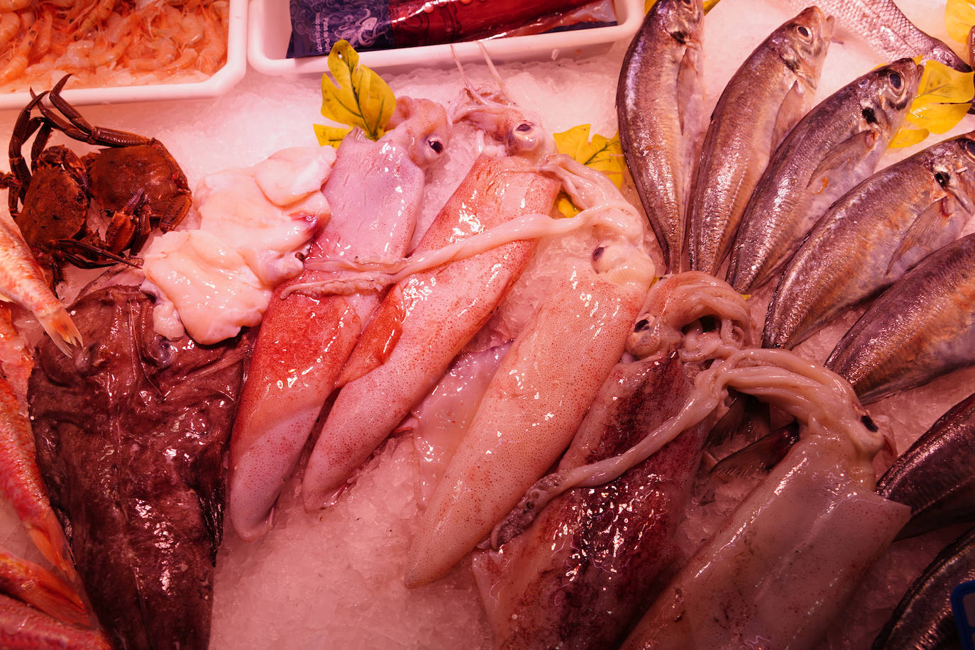 Varios calamares de potera expuestos en una pescadería.