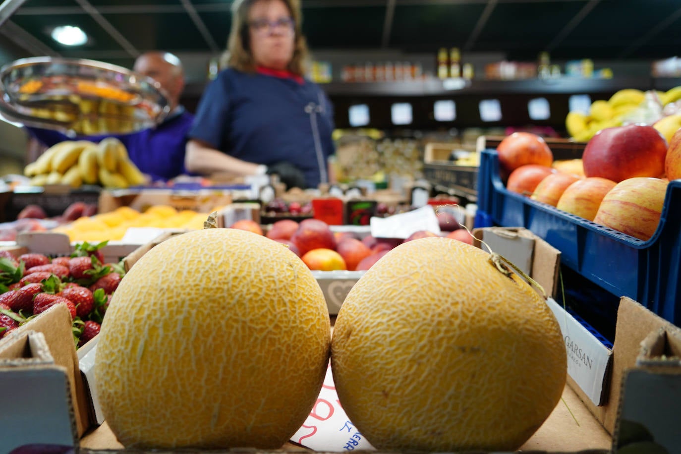 Dos melones Galia.