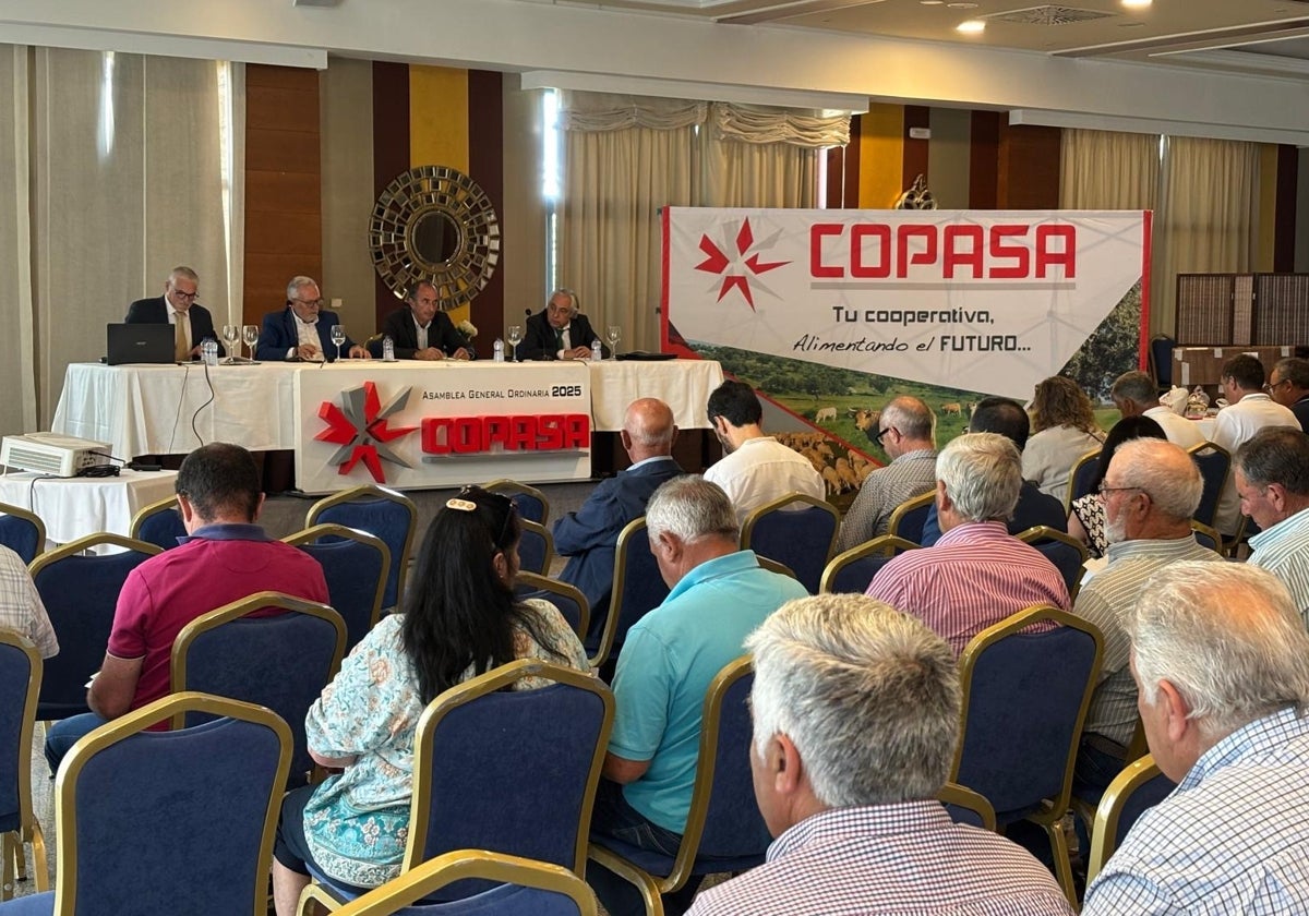 COPASA aprueba las cuentas de 2024 y se prepara para el aniversario