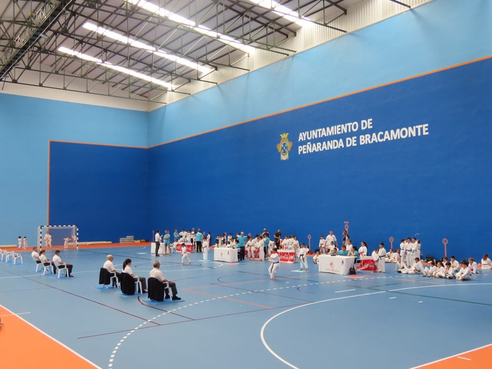 Más de 300 karatecas en Peñaranda