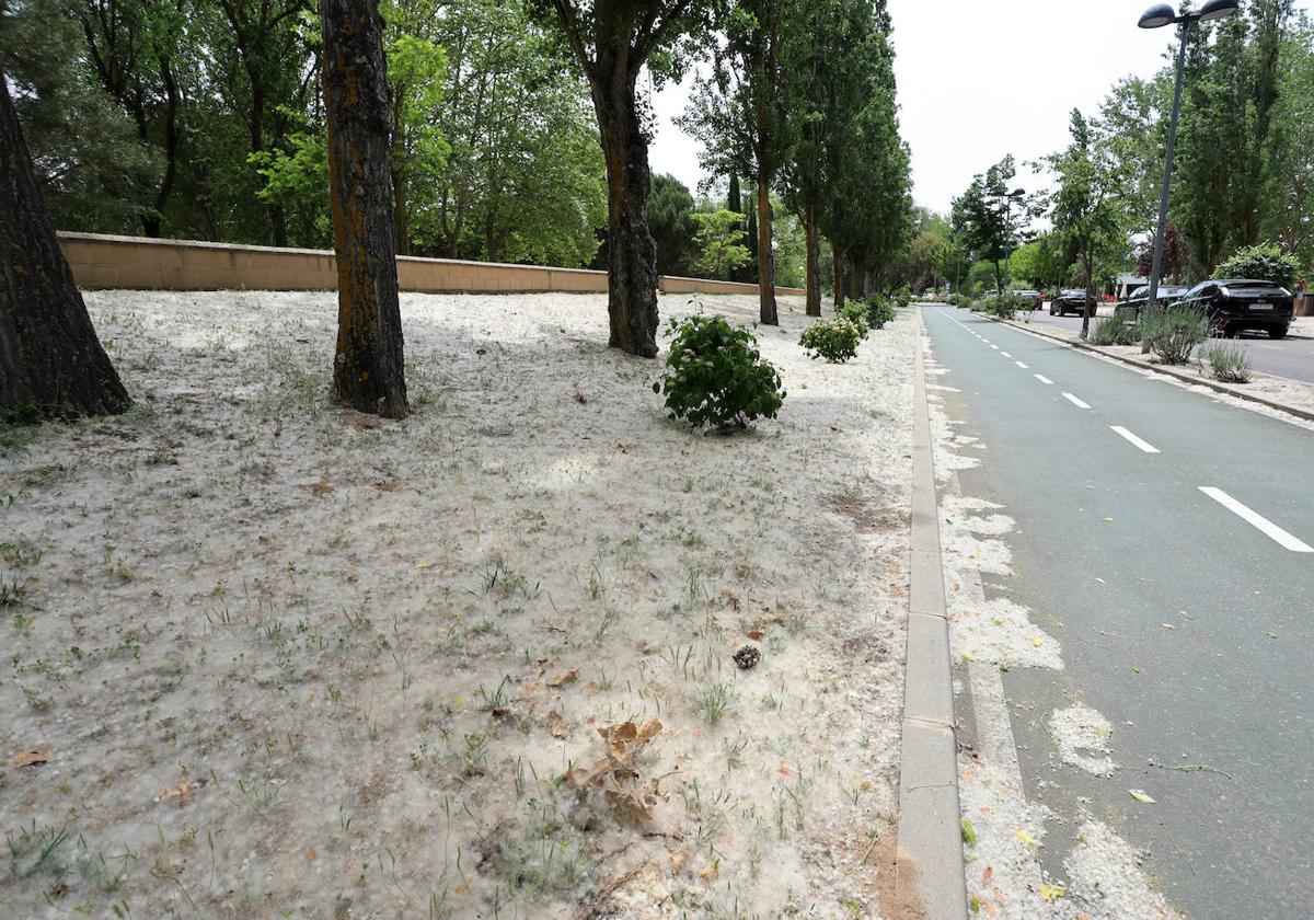 «Lo primero que hago nada más levantarme es tomarme la pastilla y echarme colirio para aguantar el día»