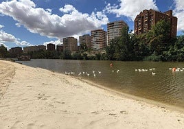 Imagen de la Playa de Las Moreras.