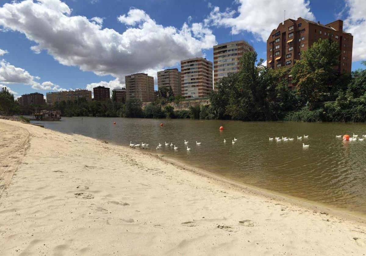 Ir a la playa sin salir de 'casa' es posible: estas son las mejores playas de Castilla y León