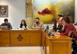 Concejales reunidos en sesión de pleno en el Ayuntamiento de Peñaranda de Bracamonte.