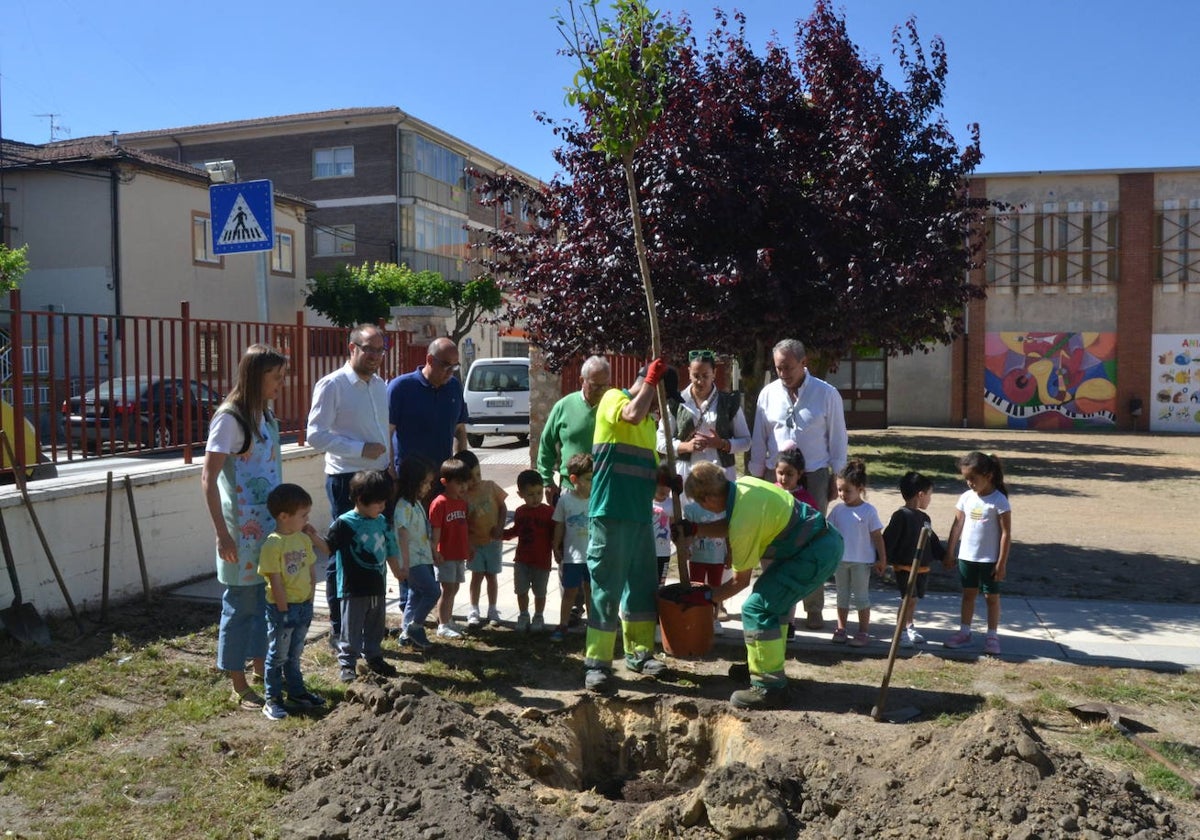 Ciudad Rodrigo celebra una multitudinaria plantación de árboles