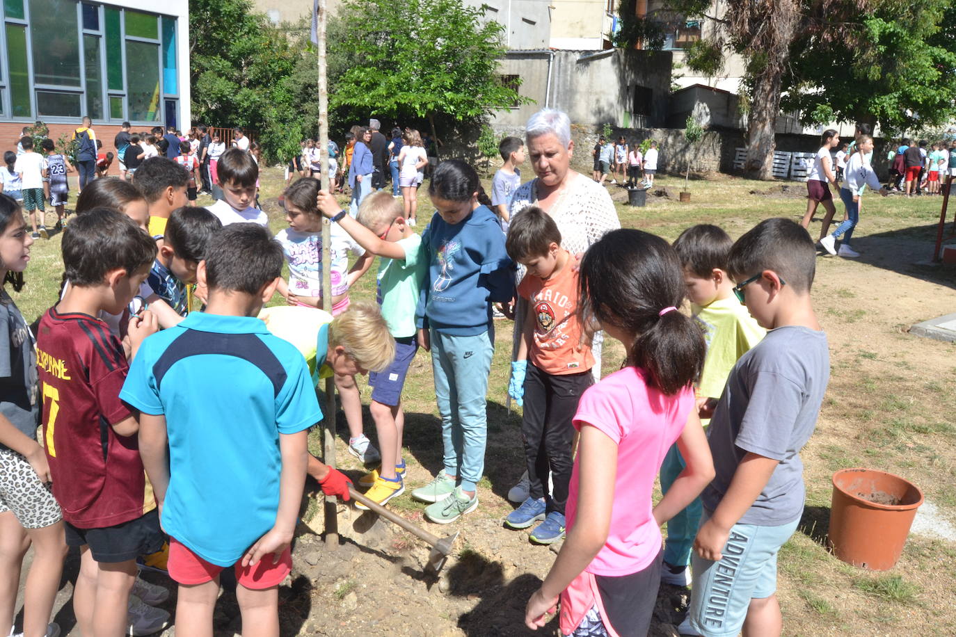 Ciudad Rodrigo celebra una multitudinaria plantación de árboles