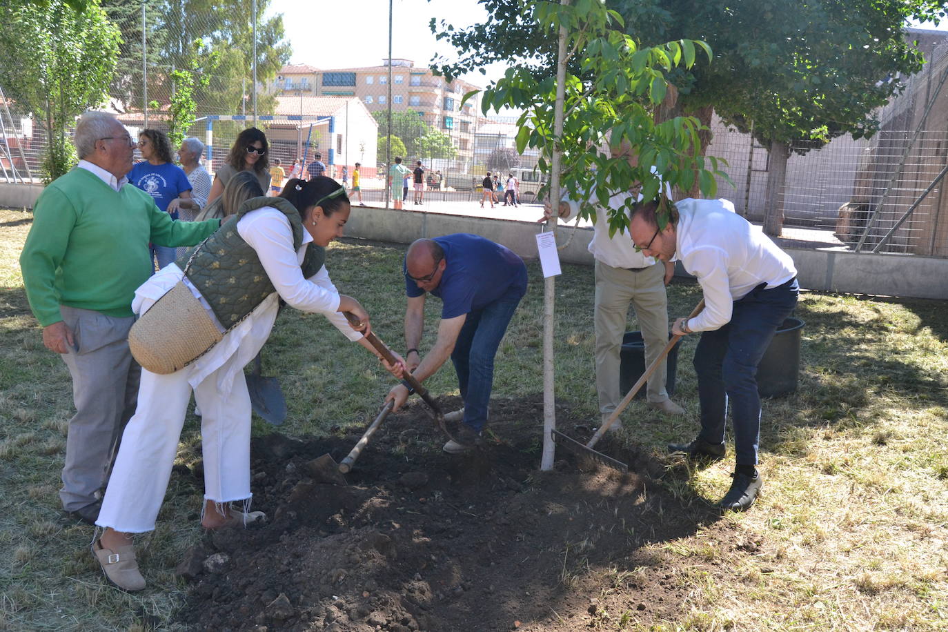 Ciudad Rodrigo celebra una multitudinaria plantación de árboles