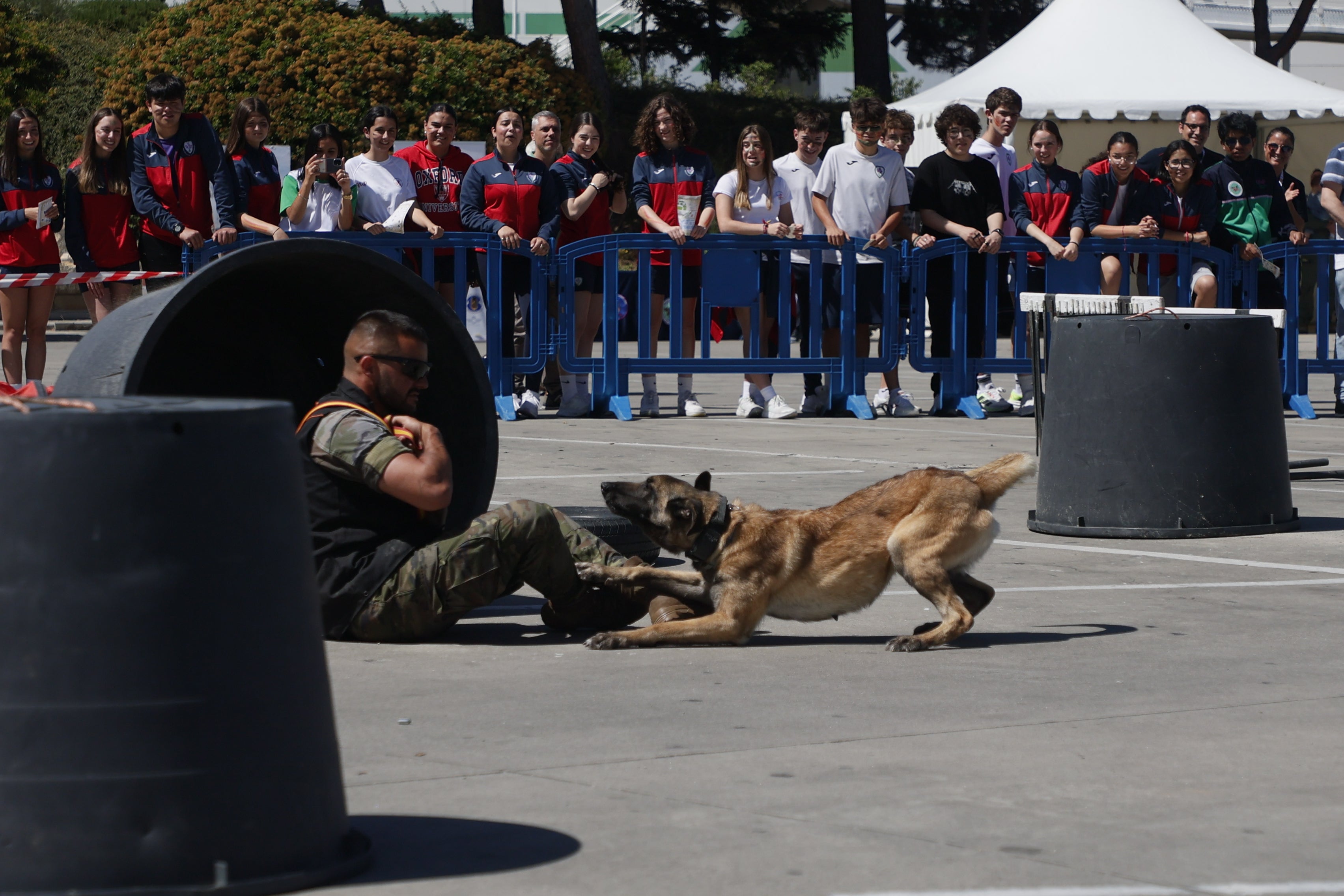 El día de las Fuerzas Armadas en el Centro Comercial El Tormes, en imágenes